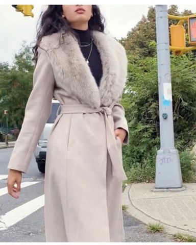 Aritzia waldorf coat shop