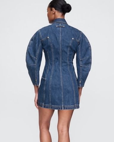 Aje Denim Dress | Pickle