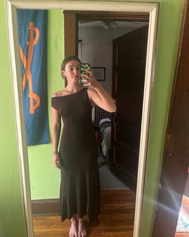 Paloma wool Brown Dress Size 4 | Pickle
