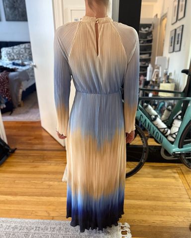 Jonathan Simkhai Blue Dress | Pickle