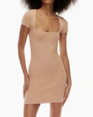 Aritzia Cut-Out Knit Mini Dress | Pickle