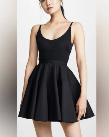Alexander Wang Dress | Pickle