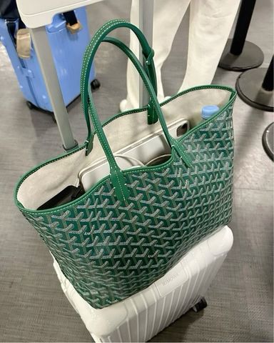 Goyard Green Anjou Mini | Pickle
