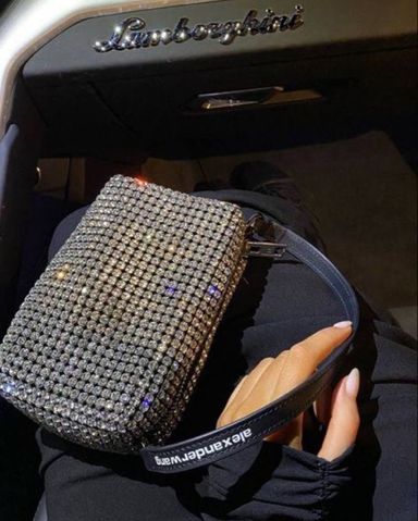 Alexander Wang Crystal Bag | Pickle