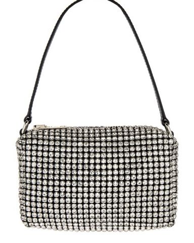 注目の Alexander Wang Crystal Bag | Pickle Bag