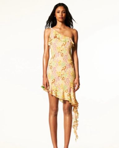 Veronica Beard - Lucine Paisley Dress | Pickle