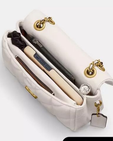 coach cherry bag | Pickle