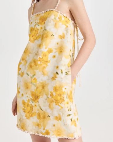 Zimmermann Wonderland Shell Shift Dress | Pickle