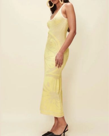 House of Sunny Lemon Hockney Dress | Pickle