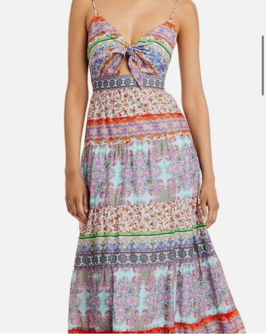 Etro Dress | Pickle