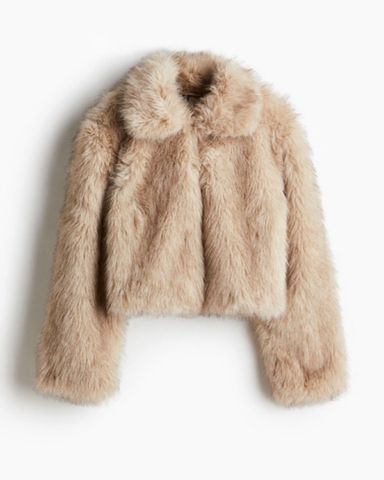 Viral Zara Fur Coat | Pickle