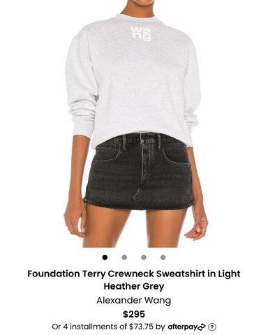 Alexander Wang Glitter Sweatshirt | Pickle