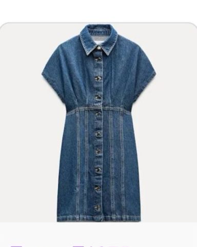 Aritzia Denim Shirt Dress | Pickle